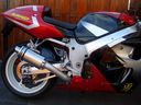 suzuki_srad_stainless_slash_stubby_Gilbert_-_Holland.JPG