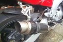 Yamaha_Thudercat_Carbon_Moto_GP_Exhaust_-_Paul_Harley.JPG