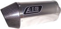 A16_Stubby_Stainless_Exhaust_with_Carbon_Cap~1.jpg